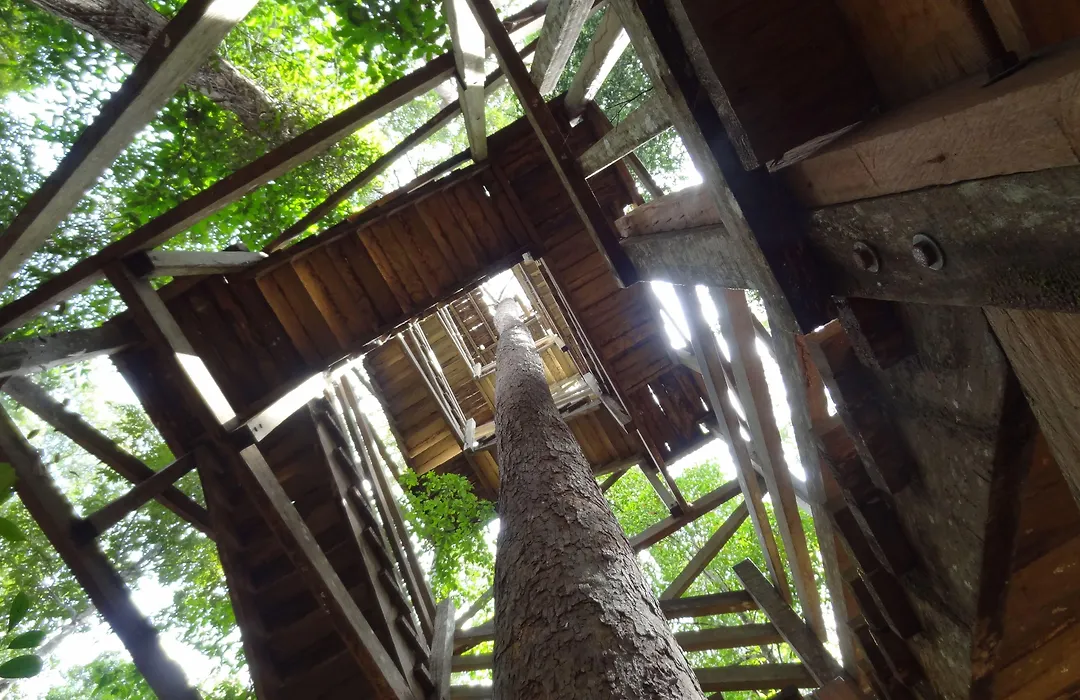 Samboja Lodge-1