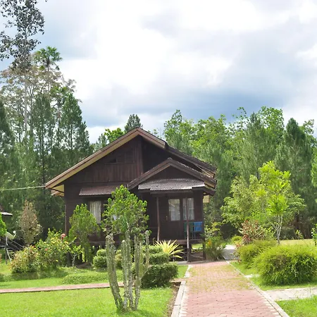 Samboja Lodge-2